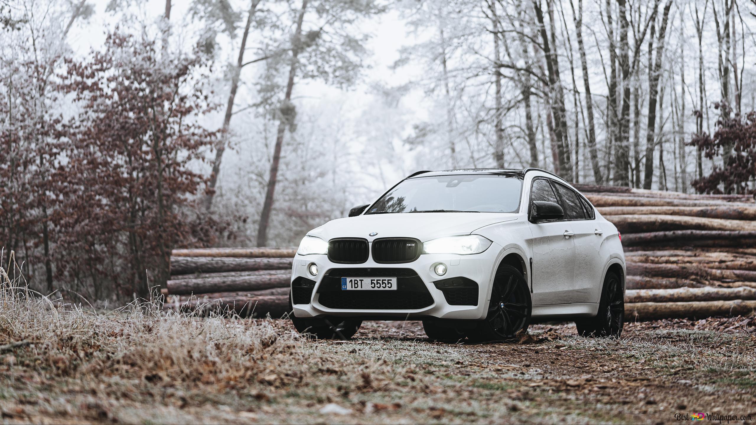 BMW X6 M (F86), Weißes SUV, Winterwald, Raureif, Holzstapel, 2K, Desktop-Hintergrund