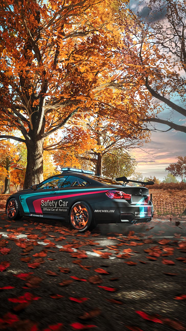 BMW, Herbst, Herbstlaub, Baum, Rotes Laub, HD, Hintergrundbild fürs Handy