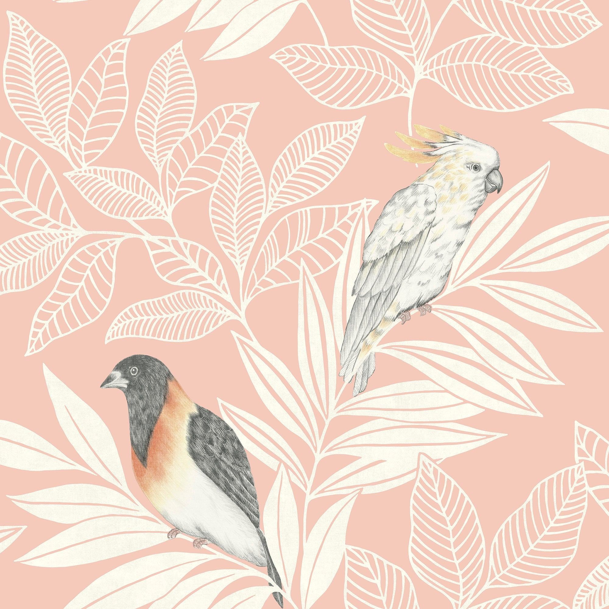 Kakadu, Vogel, Blätter, Rosa Hintergrund, Illustration, Full HD Wallpaper
