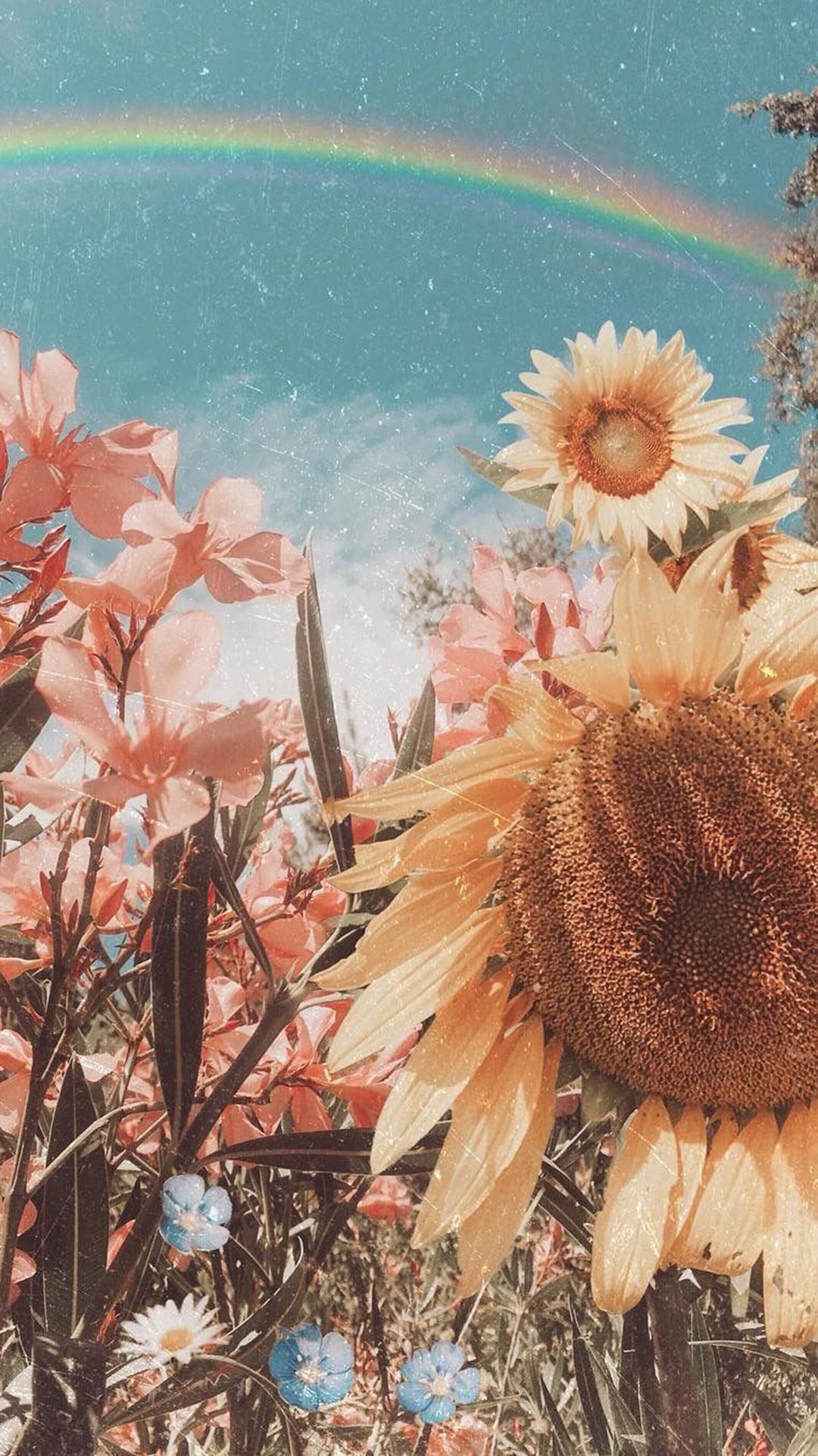 Sonnenblume, Regenbogen, Wolkenhimmel, Vintage, Collage, Full HD, Handy-Hintergrund