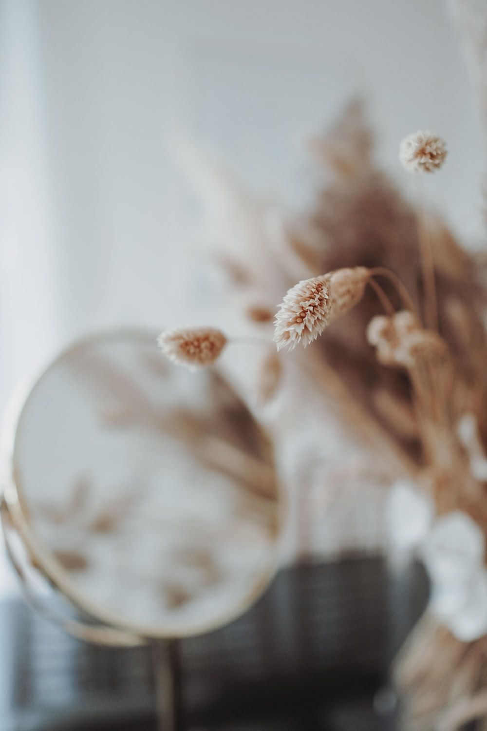 Trockenblumen, Pampasgras, Vase, Bokeh, Beige, HD, Hintergrundbild fürs Handy