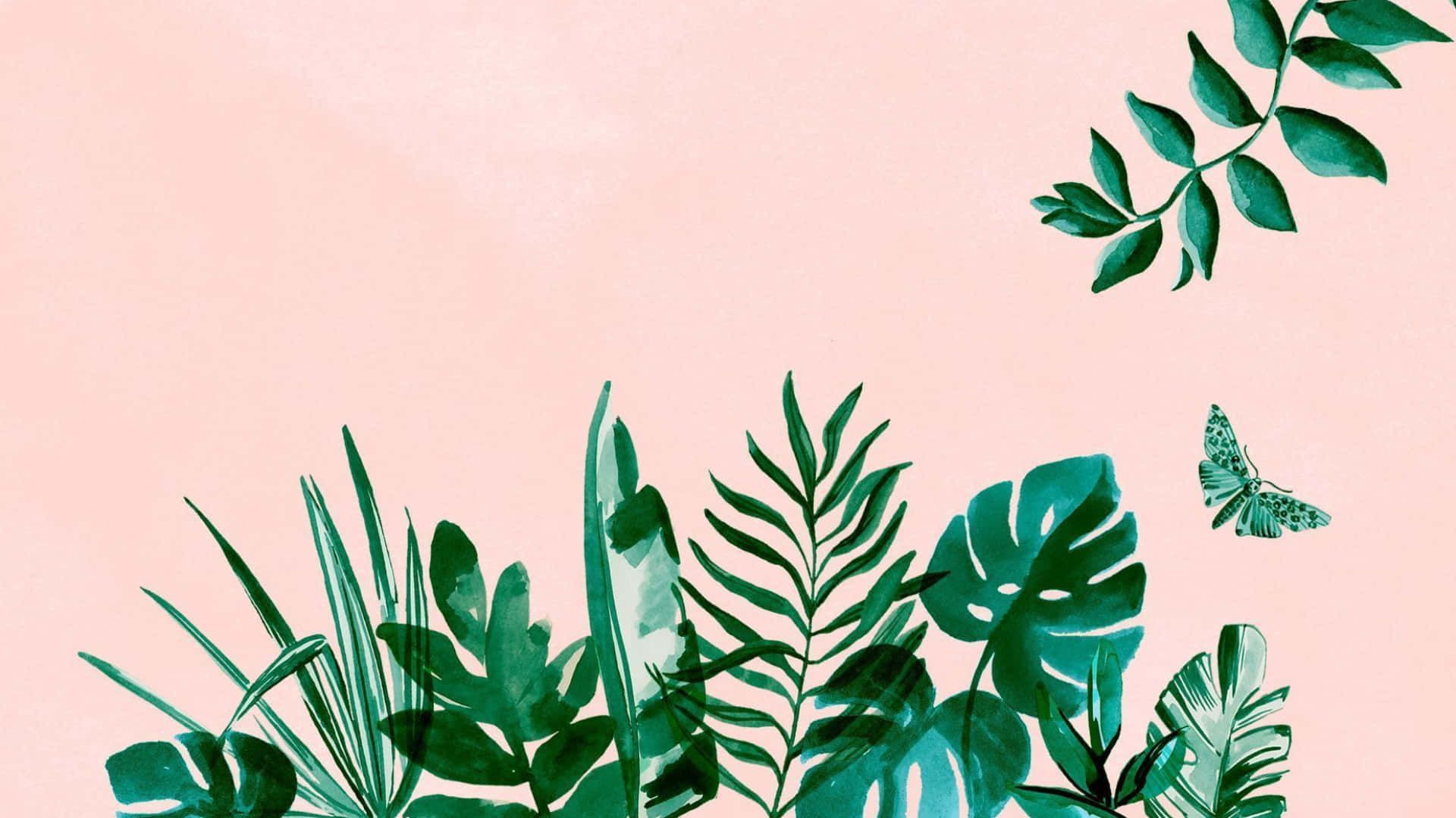 Monstera, Tropische Blätter, Schmetterling, Rosa Hintergrund, Aquarell, Full HD Wallpaper