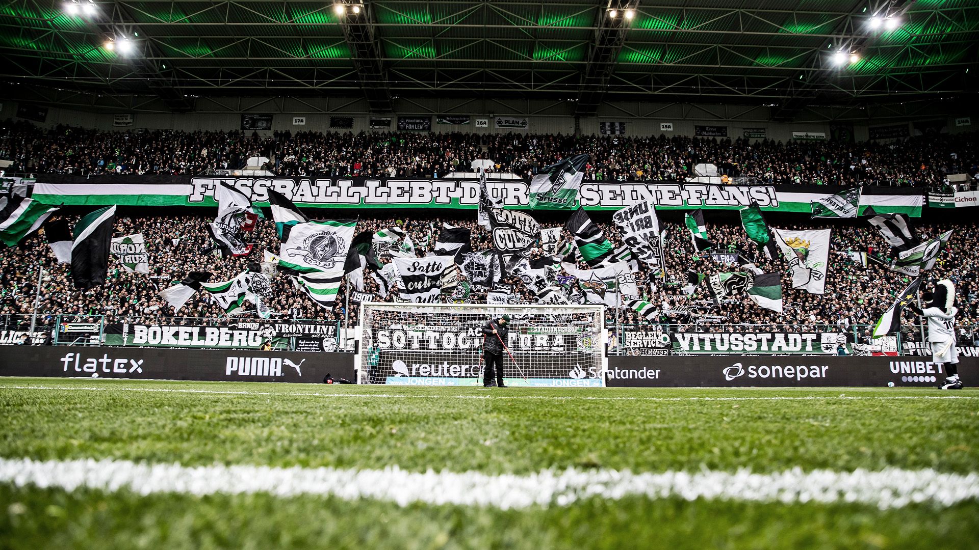 Borussia Mönchengladbach, Borussia-Park, Fankurve, Banner, Rasen, Full HD, Breitbild-Hintergrundbild