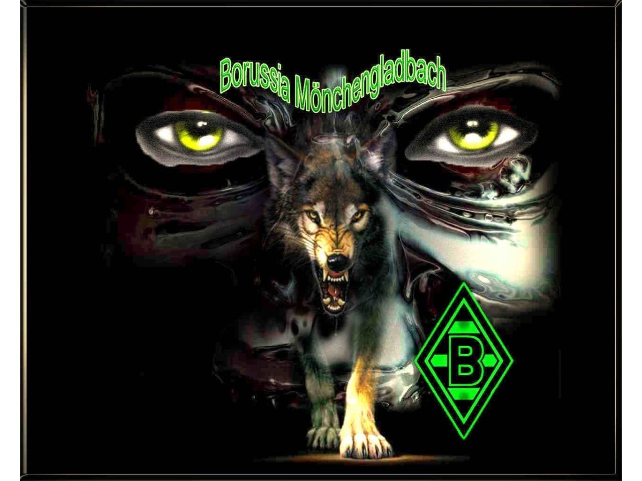 Borussia Mönchengladbach, Wolf, Augen, Fantasy, Wappen, Hintergrundbild für iPad und Tablet