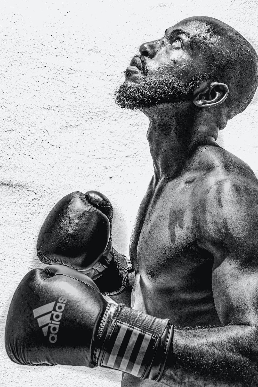 Boxer, Adidas, Schwarz-weiß, Profil, Hintergrundbild für iPhone und Android