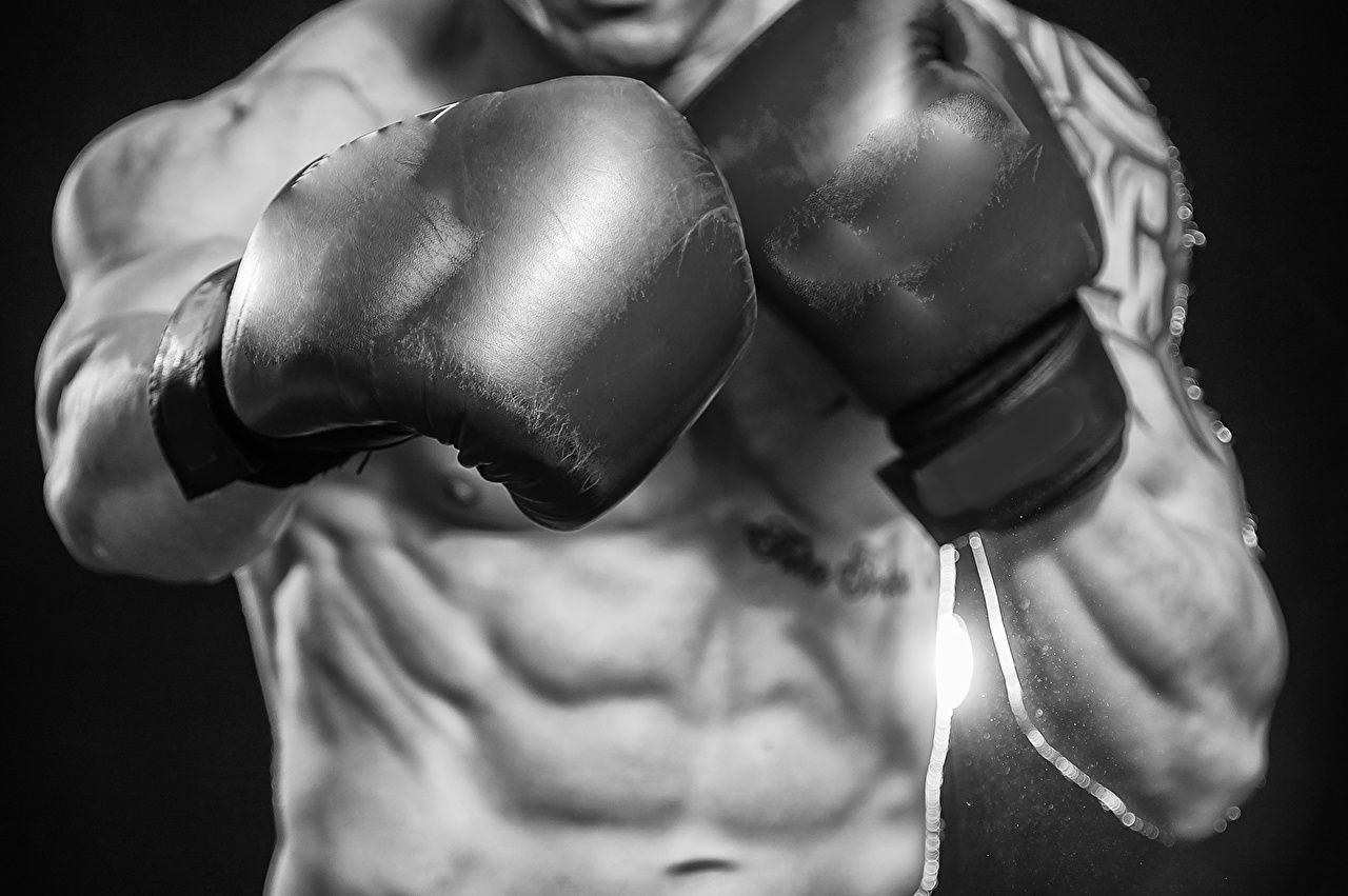 Boxhandschuhe, Bauchmuskeln, Schwarz-weiß, Nahaufnahme, HD, Hintergrund für den Desktop