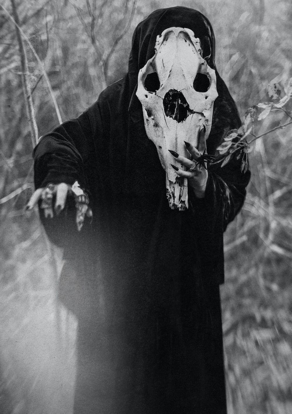 Tierschädel-Maske, Schwarze Kutte, Wald, Schwarz-Weiß, Kreatur, HD, iPad-Hintergrundbild