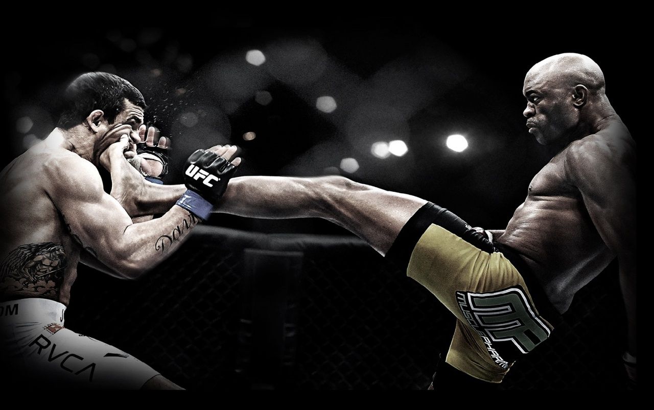 MMA, Kick, Kampfsport, Käfig, 16:10, HD-Hintergrundbild für den Desktop