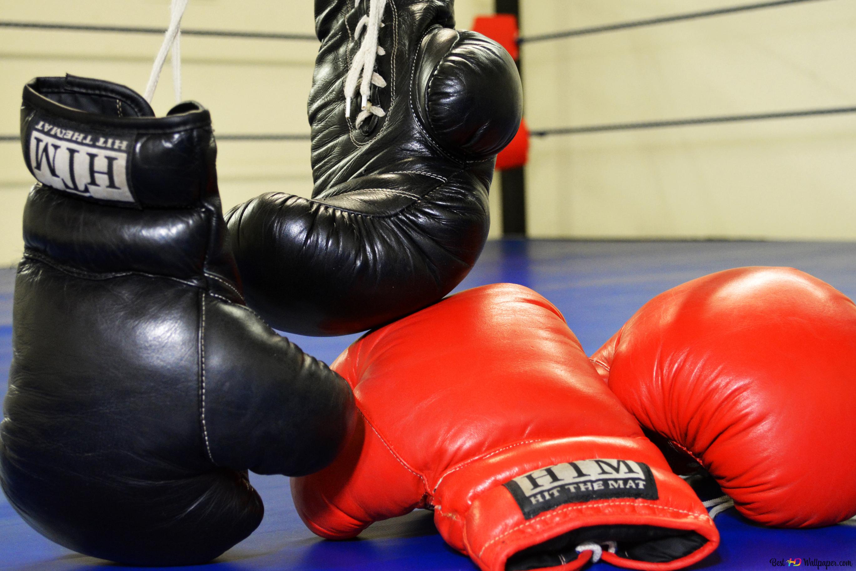 Boxhandschuhe, Schwarz und Rot, Boxring, 2K, Hintergrundbild für den PC