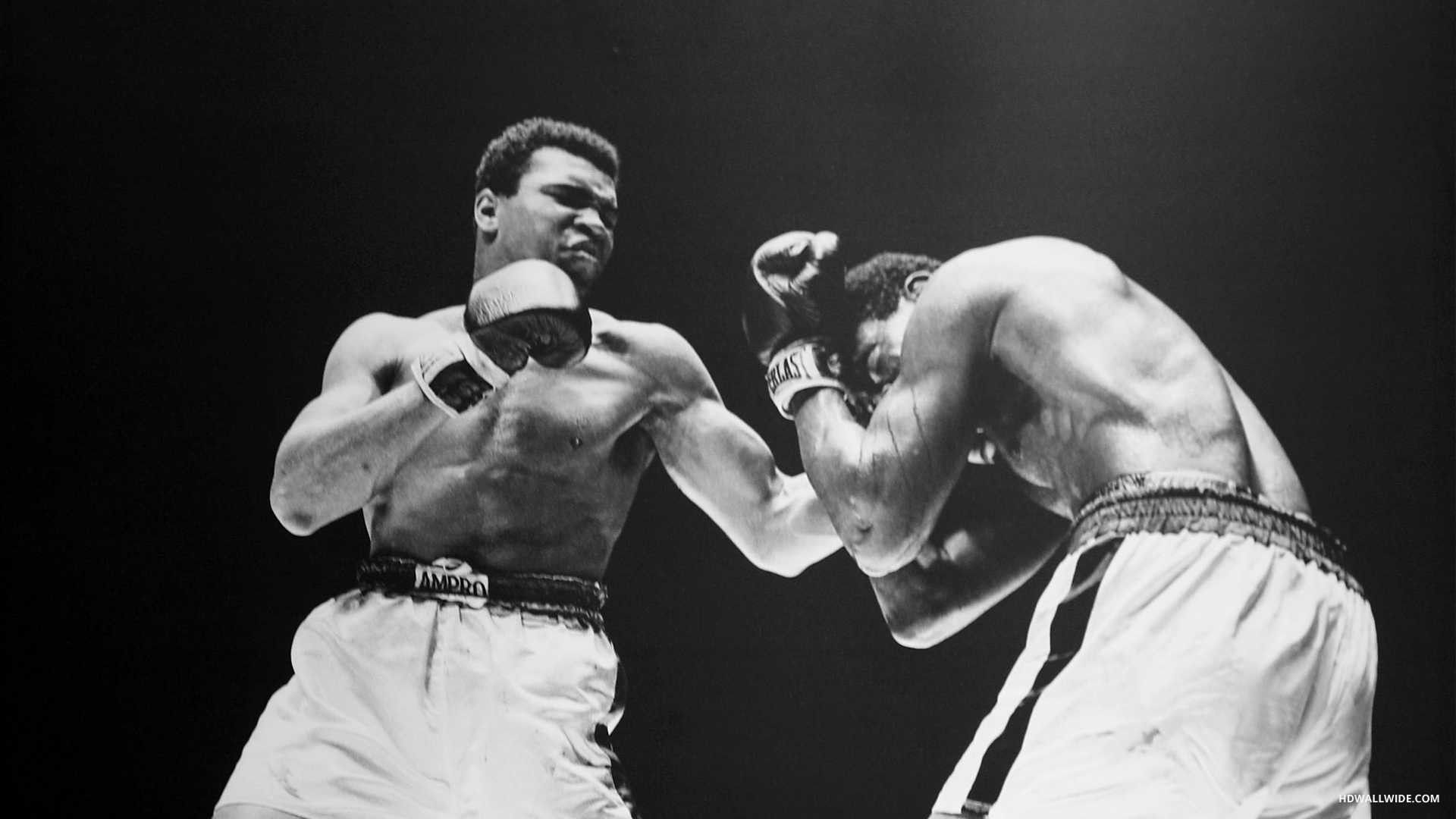 Muhammad Ali, Boxkampf, Schwarz-weiß, Legende, Full HD, Desktop-Hintergrund für Windows