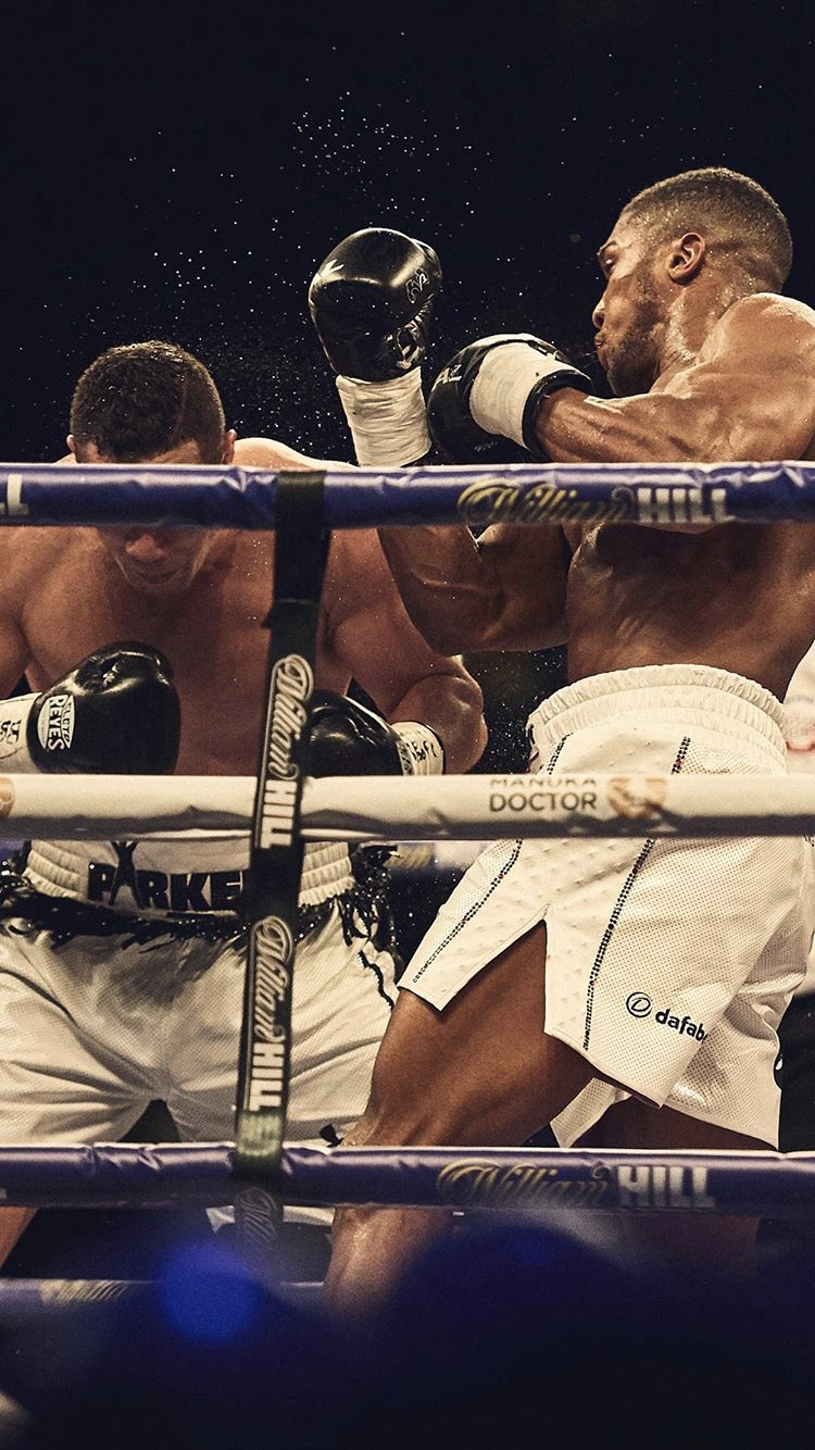 Boxkampf, Boxring, Ringseile, Hochformat, Hintergrundbild für iPhone und Android
