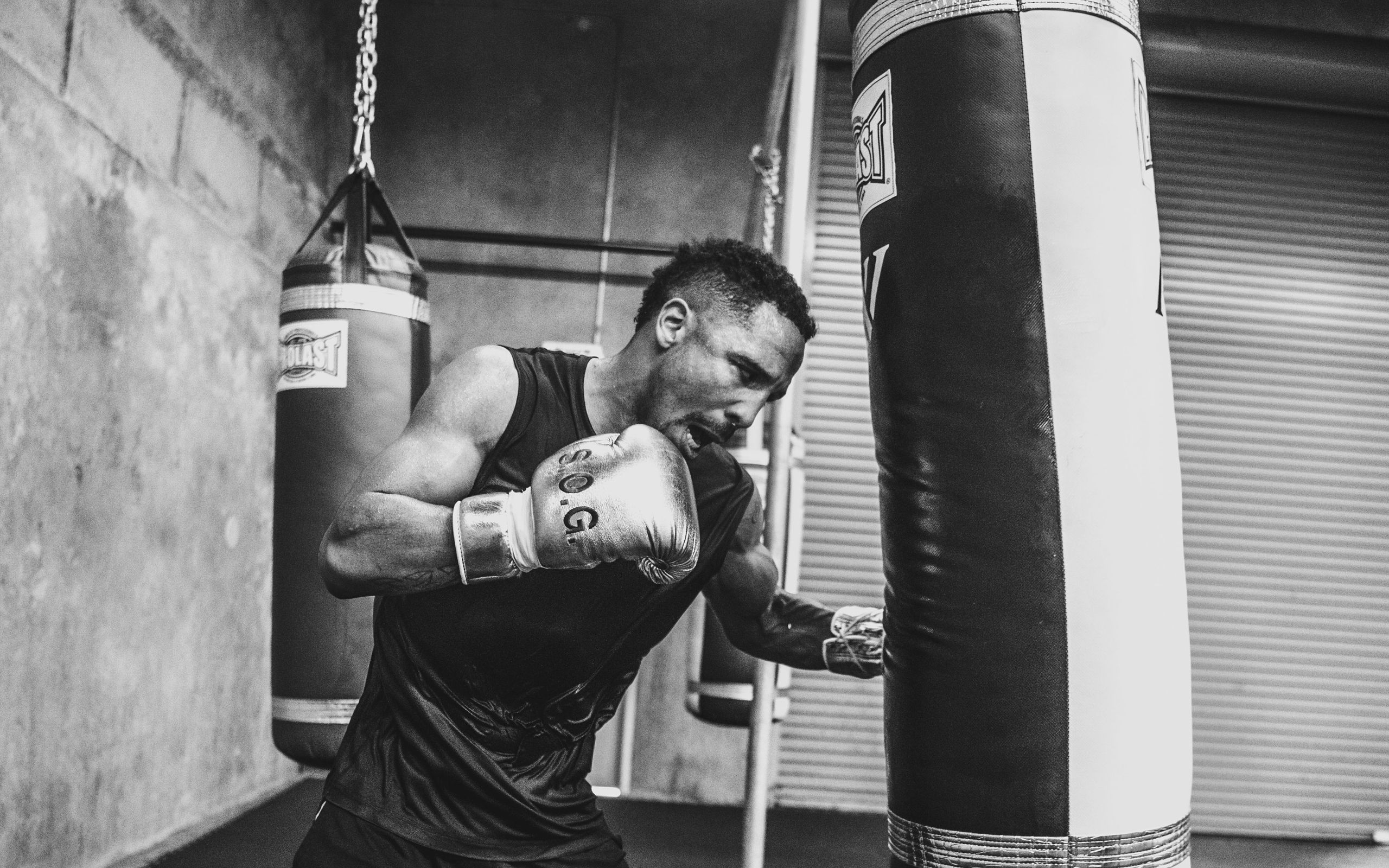 Boxer, Sandsack, Training, Schwarz-weiß, 2K, Desktop-Hintergrund für Windows