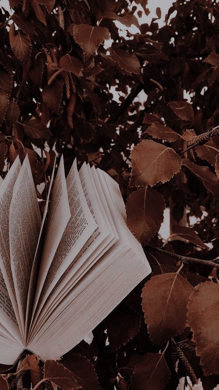 Buch, Aufgeschlagen, Blätter, Dunkel, HD, Sperrbildschirm fürs iPhone