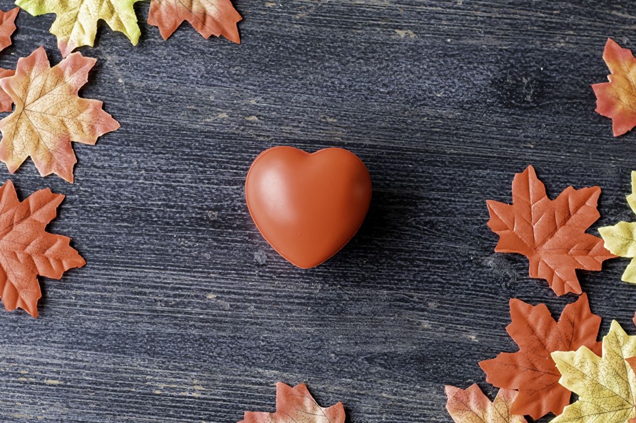 Herz, Ahornblätter, Holztisch, Herbst, HD, Hintergrundbild für den PC