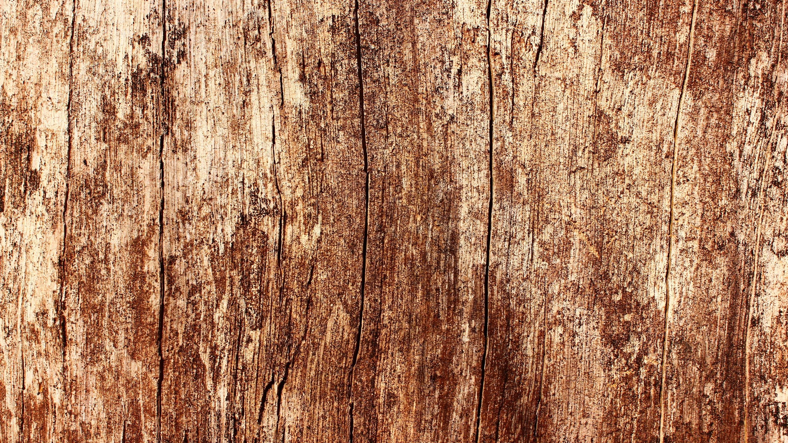 Holztextur, Verwittert, Maserung, Rustikal, 2K 1440p, Desktop-Hintergrundbild