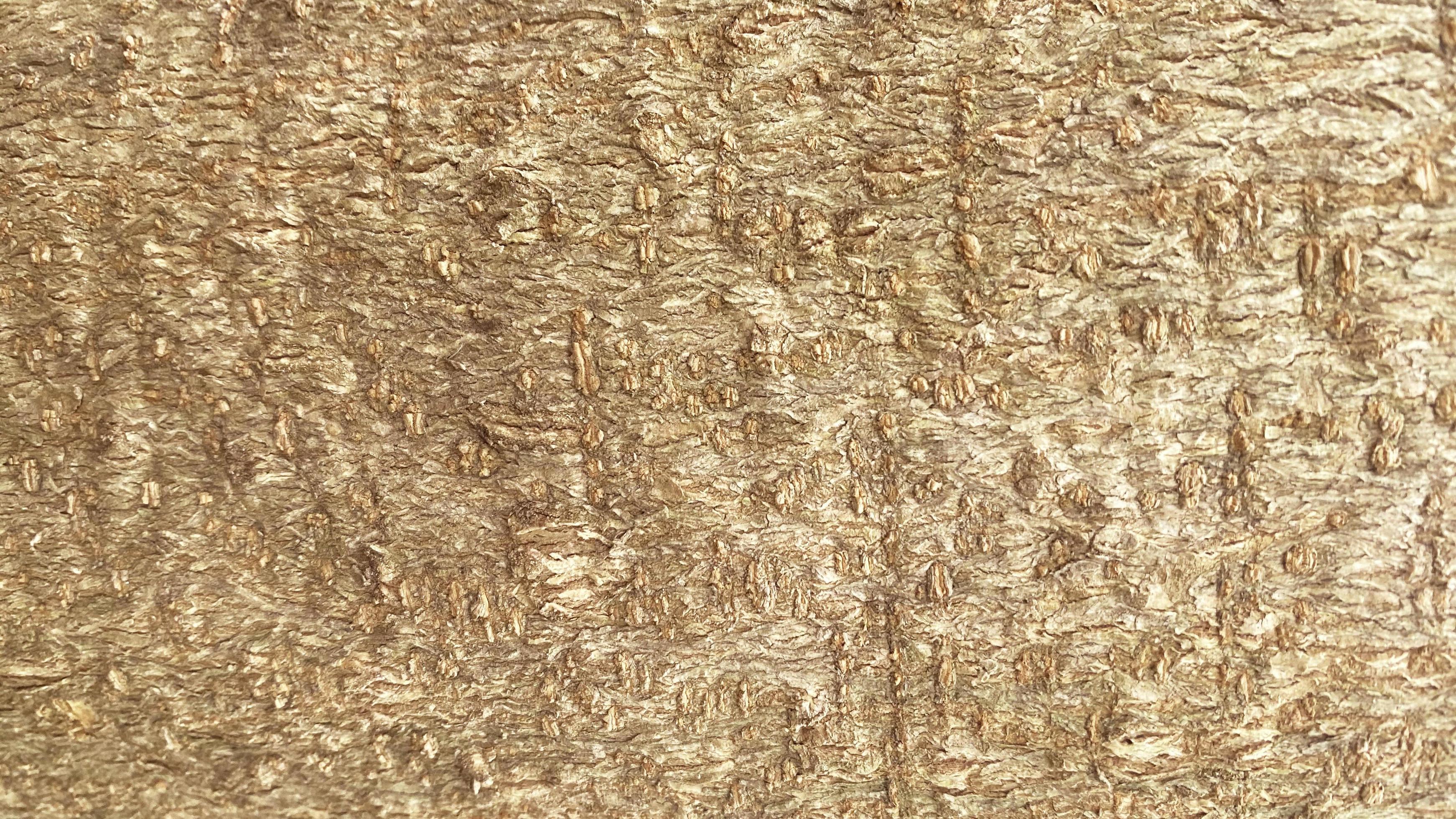 Goldfolie, Textur, Metallisch, Knittrig, 2K, Hintergrundbild für den PC