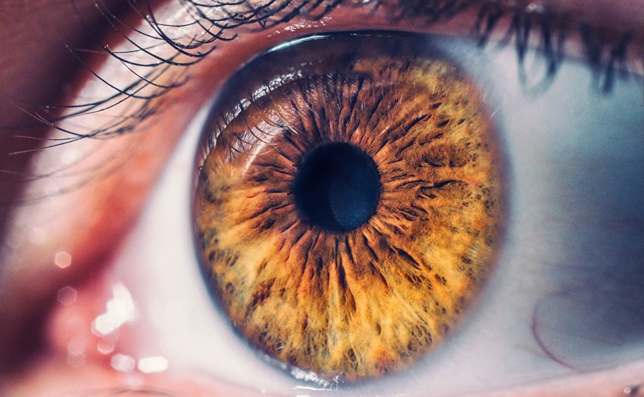 Braunes Auge, Iris, Makro, Wimpern, HD, Hintergrundbild für den PC