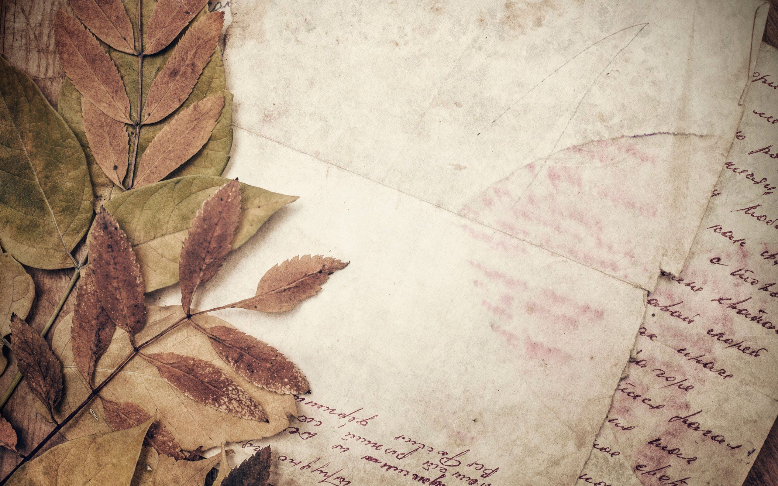Alte Briefe, Handschrift, Getrocknete Blätter, Vintage, 16:10, 2K-Hintergrundbild für den Desktop