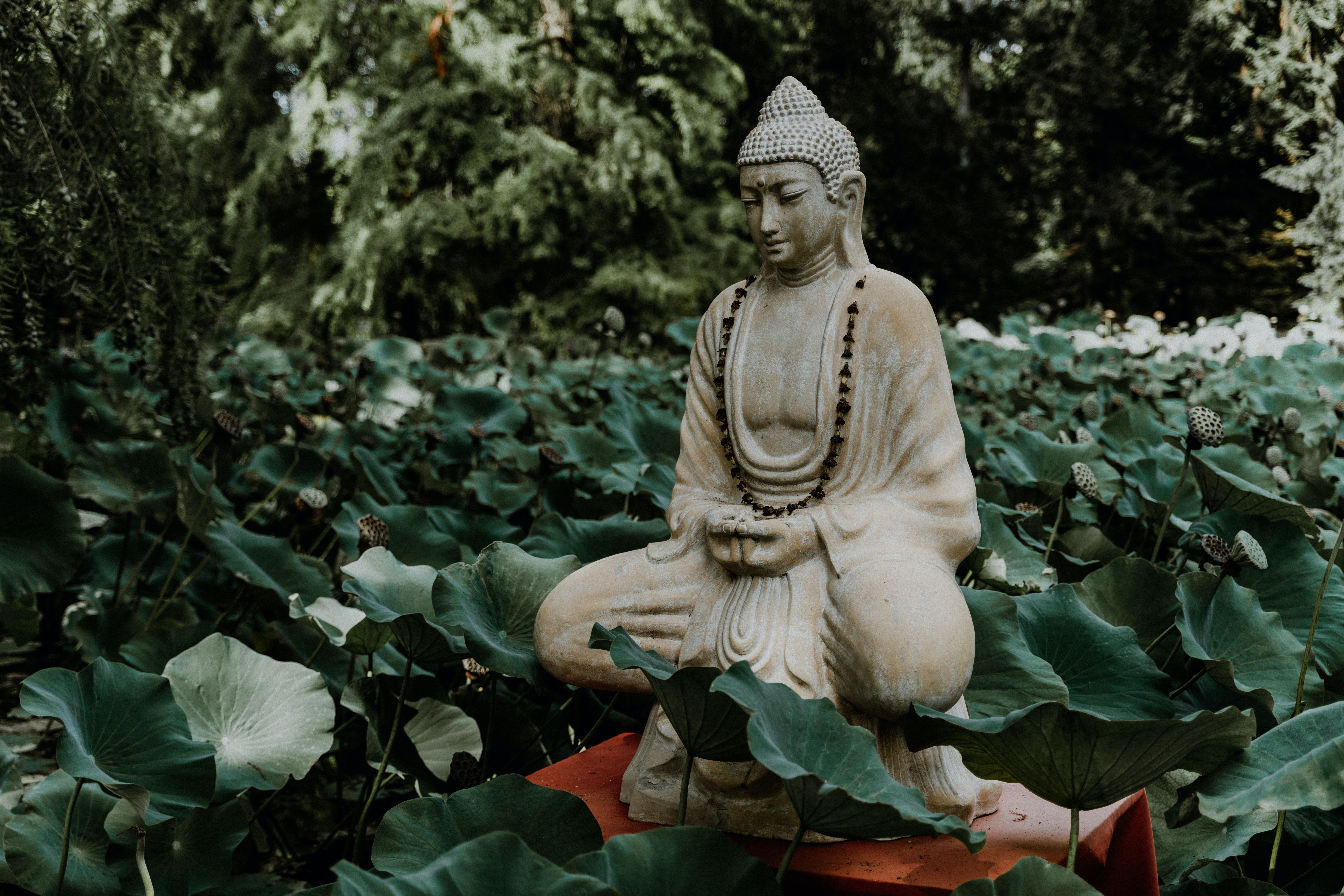 Buddha-Statue, Lotusblätter, Garten, Gebetskette, Grüne Töne, 6K, Desktop-Hintergrund