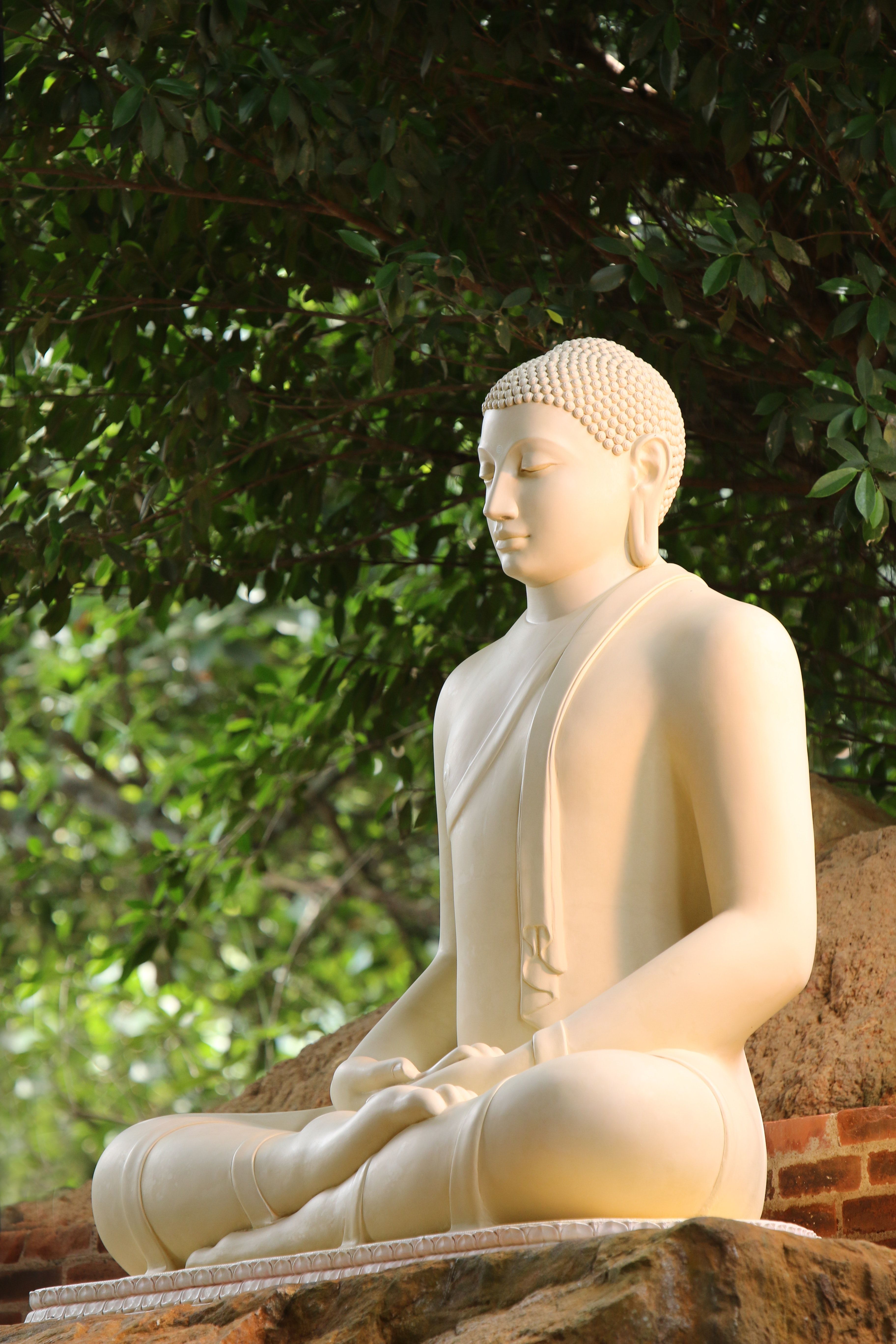 Weißer Buddha, Steinstatue, Bäume, Garten, Meditation, Hintergrundbild für iPhone und Android