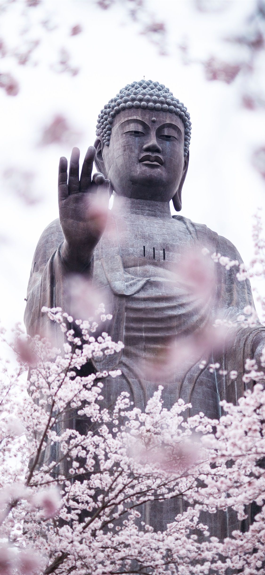 Buddha-Statue, Kirschblüten, Schnee, Abhaya-Mudra, Helle Töne, Full HD, Handy-Hintergrundbild