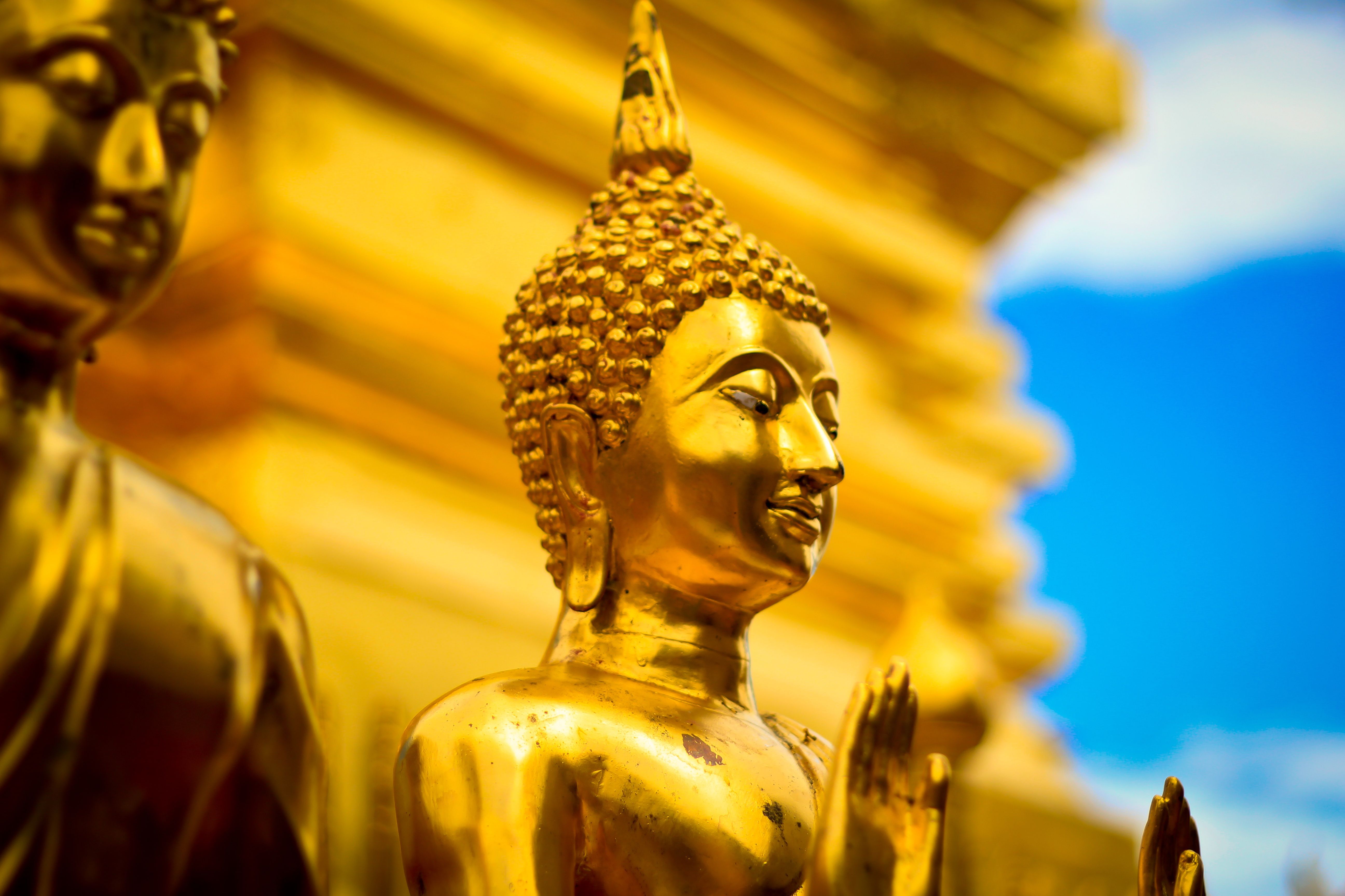 Goldene Buddha-Statuen, Tempel, Blauer Himmel, Gold, Seitenansicht, 5K-Hintergrundbild für PC
