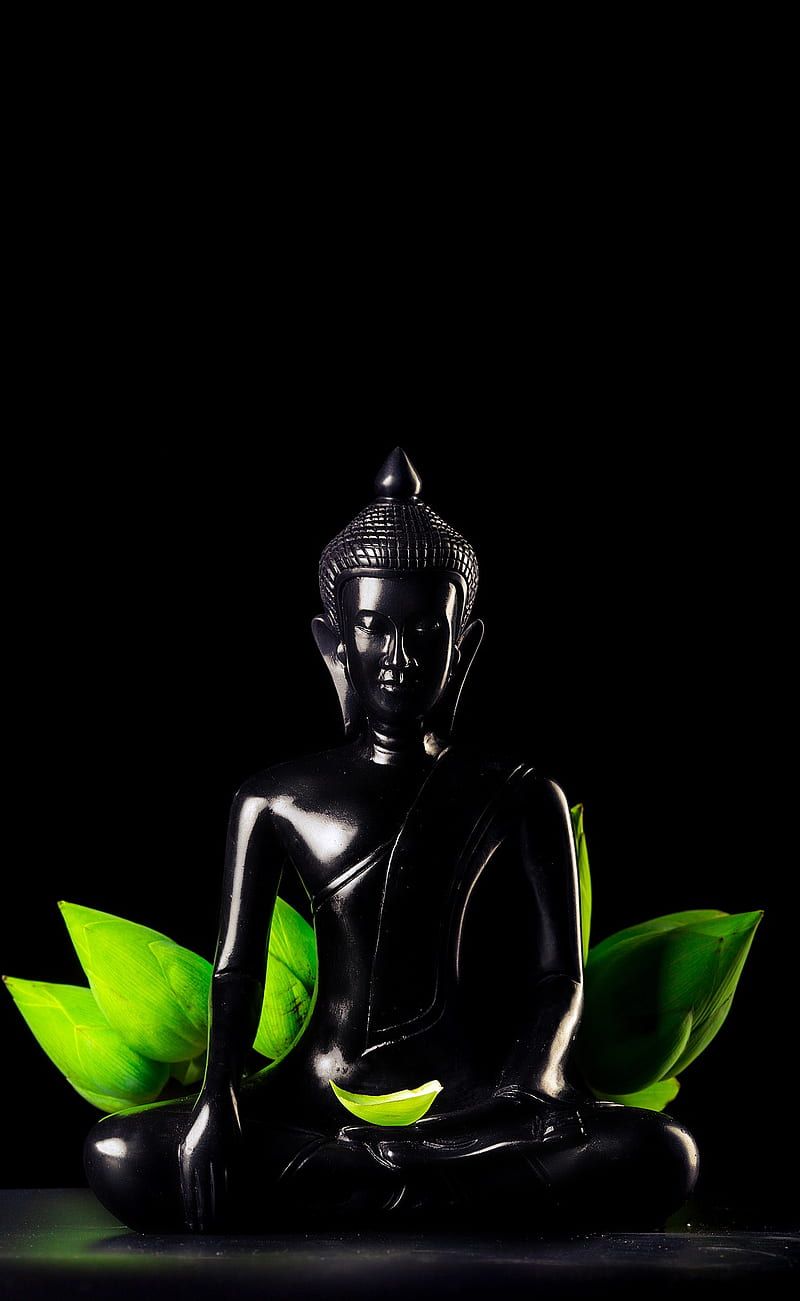 Schwarze Buddha-Figur, Grüne Blätter, Schwarzer Hintergrund, Minimalismus, Sperrbildschirm fürs iPhone