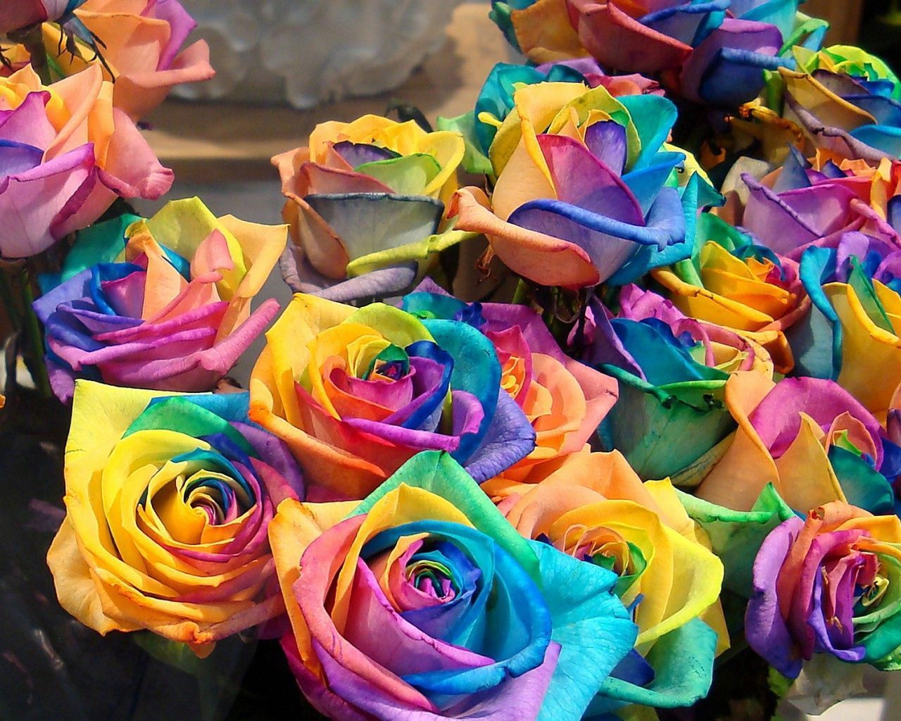 Regenbogenrosen, Rosen, Blumenstrauß, Bunte Blüten, HD, Desktop-Hintergrund für Windows