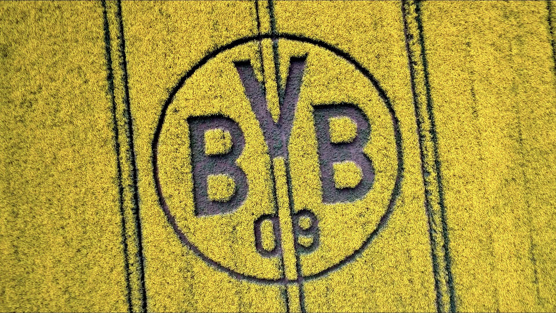 BVB-Logo, Feld, Luftaufnahme, Gelbe Töne, Landschaftskunst, Full-HD-Hintergrundbild für PC