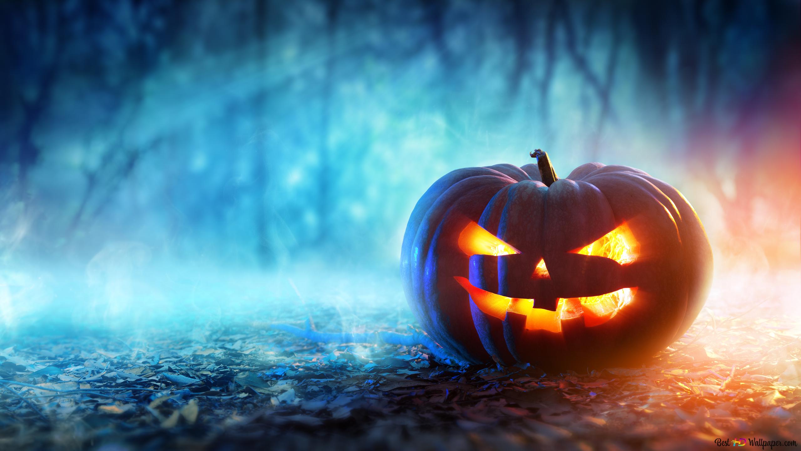 Halloween, Kürbis, Jack-O'-Lantern, Blauer Nebel, Nacht, 2K, Laptop-Hintergrundbild