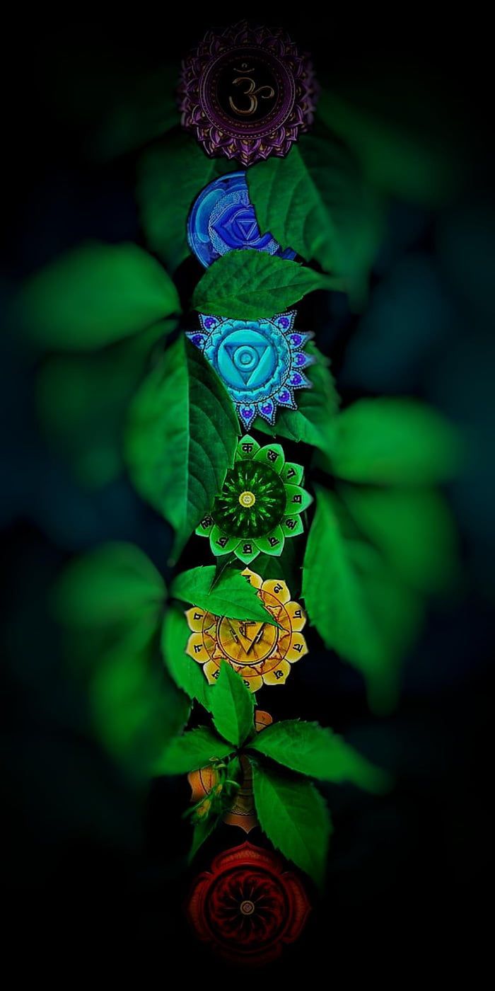 Sieben Chakren, Chakra-Symbole, Grüne Blätter, Natur, Hochformat, Hintergrundbild fürs Handy