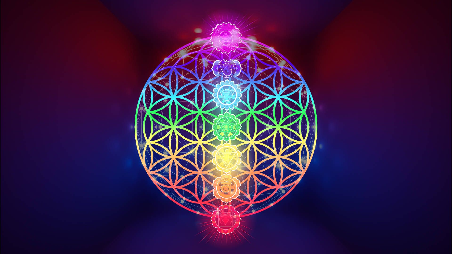 Blume des Lebens, Heilige Geometrie, Chakren, Leuchten, Bunt, Full HD, PC-Hintergrundbild