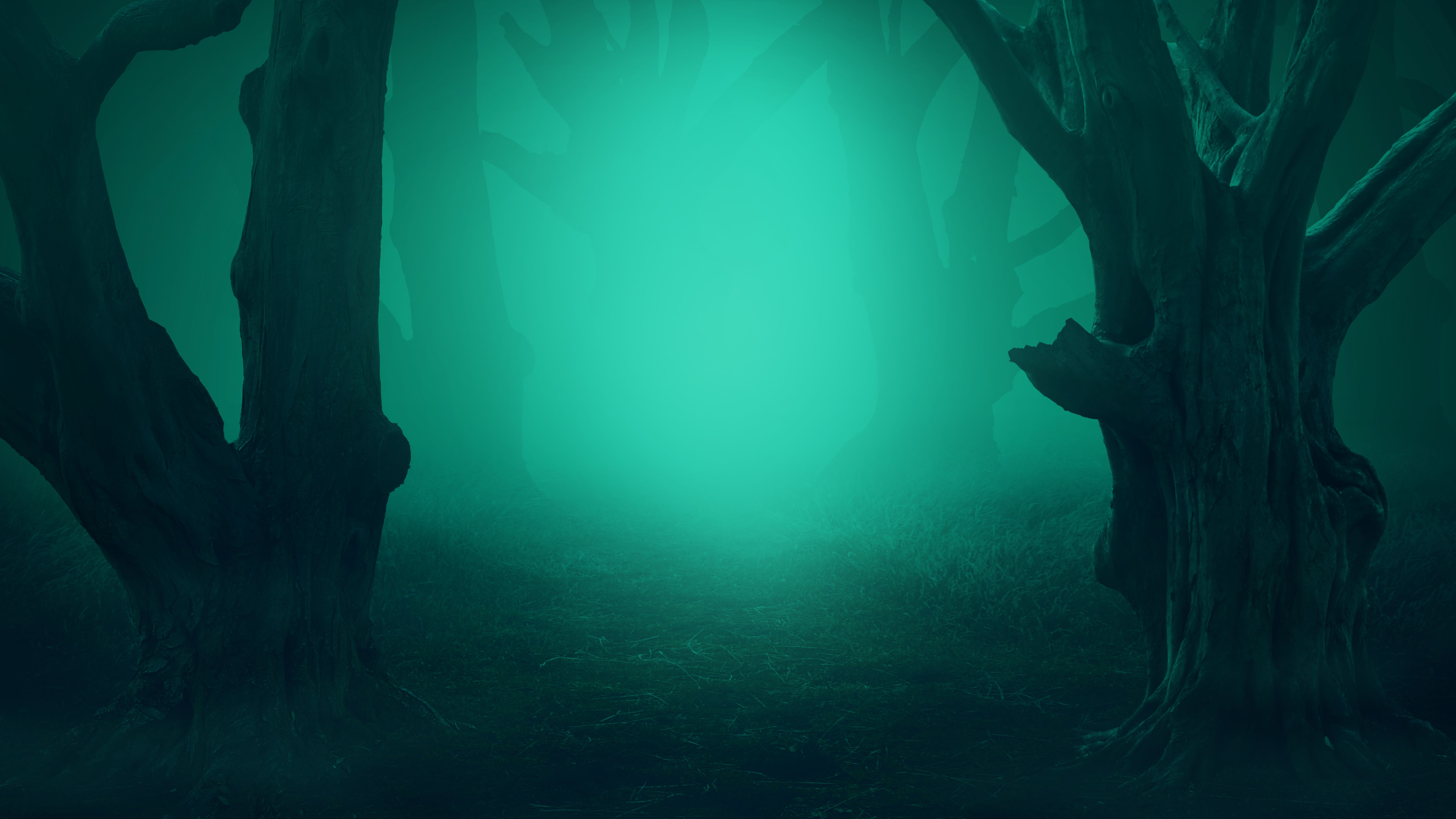 Nebelwald, Türkis, Knorrige Bäume, Düster, Mystisch, 16:9, 8K-Hintergrundbild für den Desktop