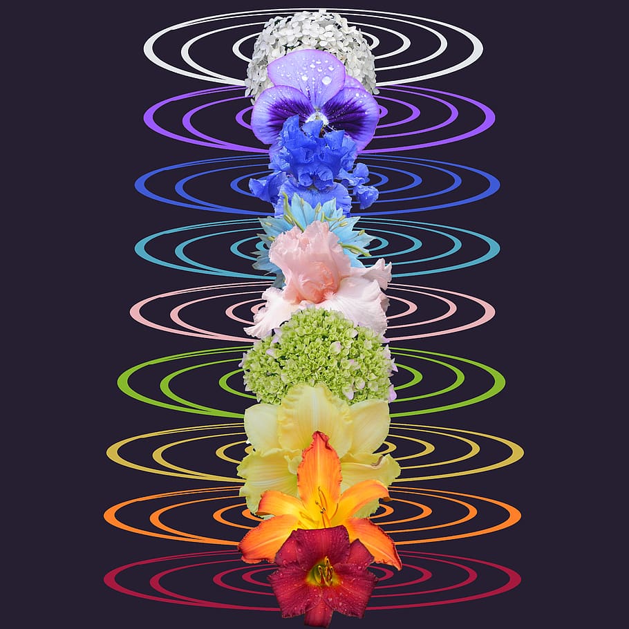 Chakra-Blüten, Blumen, Regenbogenfarben, Kreiswellen, Dunkler Hintergrund, Wallpaper