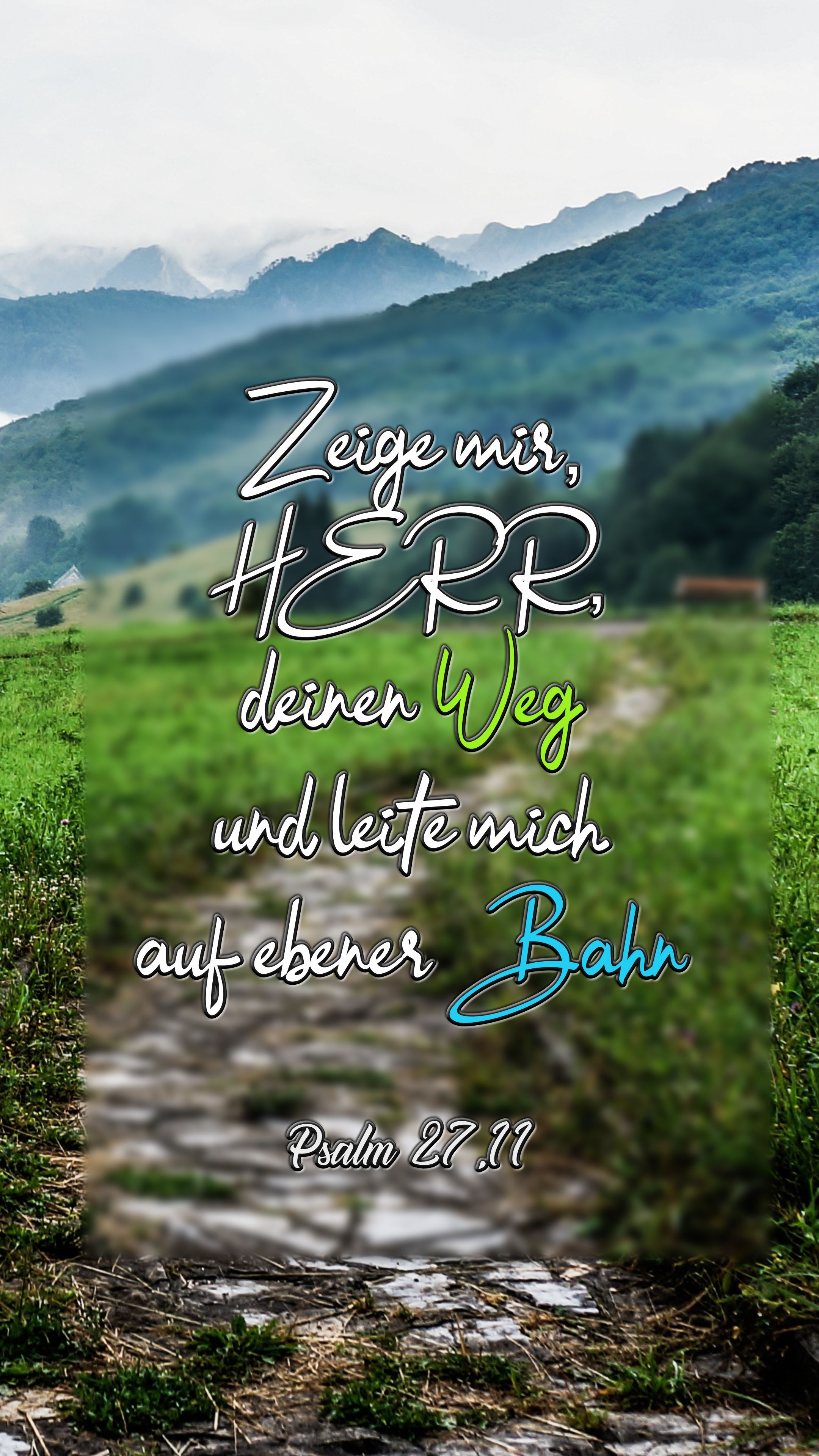 Zeige mir, Herr, deinen Weg, Psalm, Bergpfad, Grüne Wiese, Gebirge, QHD+, Handy-Hintergrund