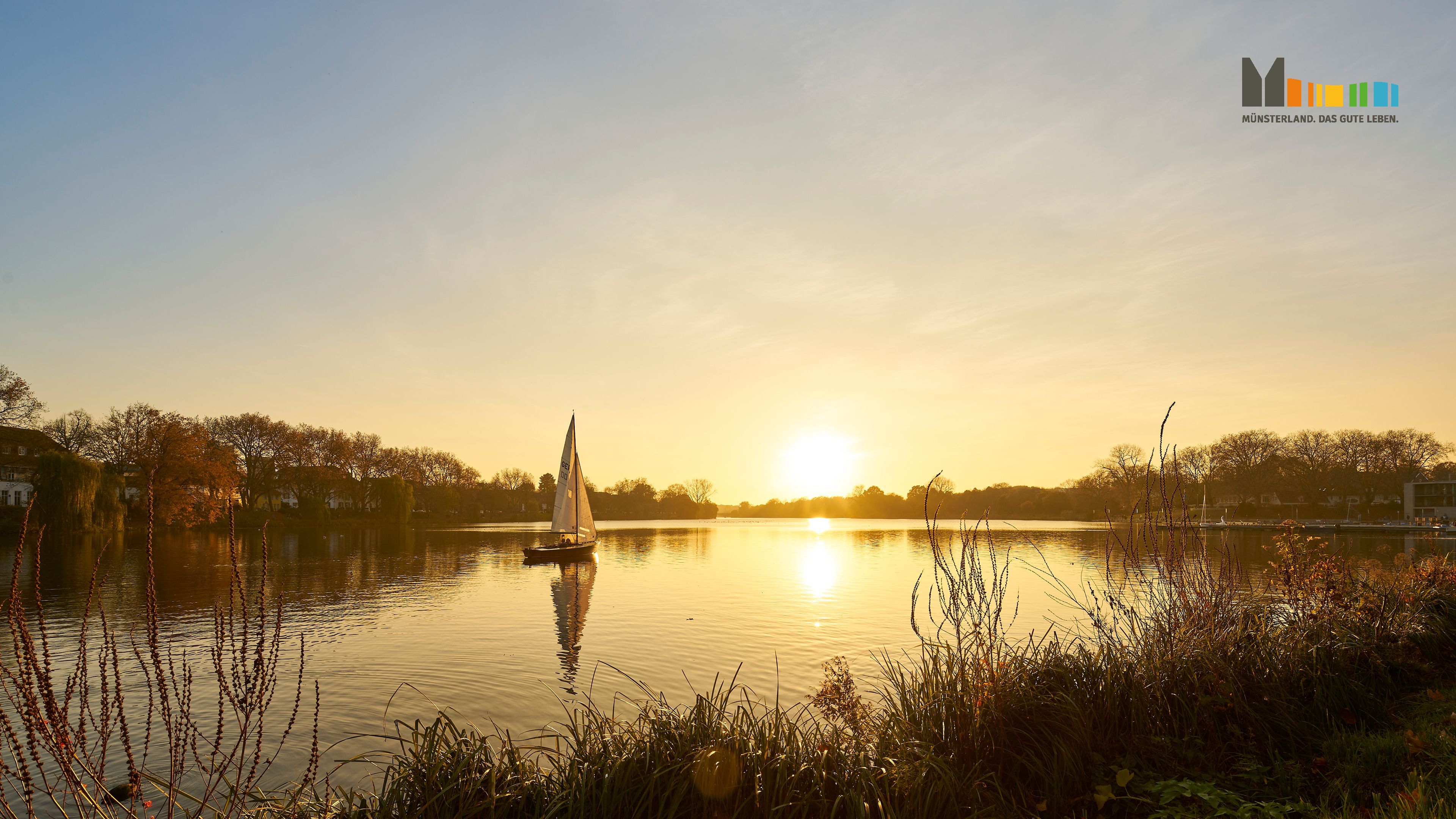 See, Segelboot, Sonnenuntergang, Schilf, Goldenes Licht, 4K, Windows-Hintergrundbild