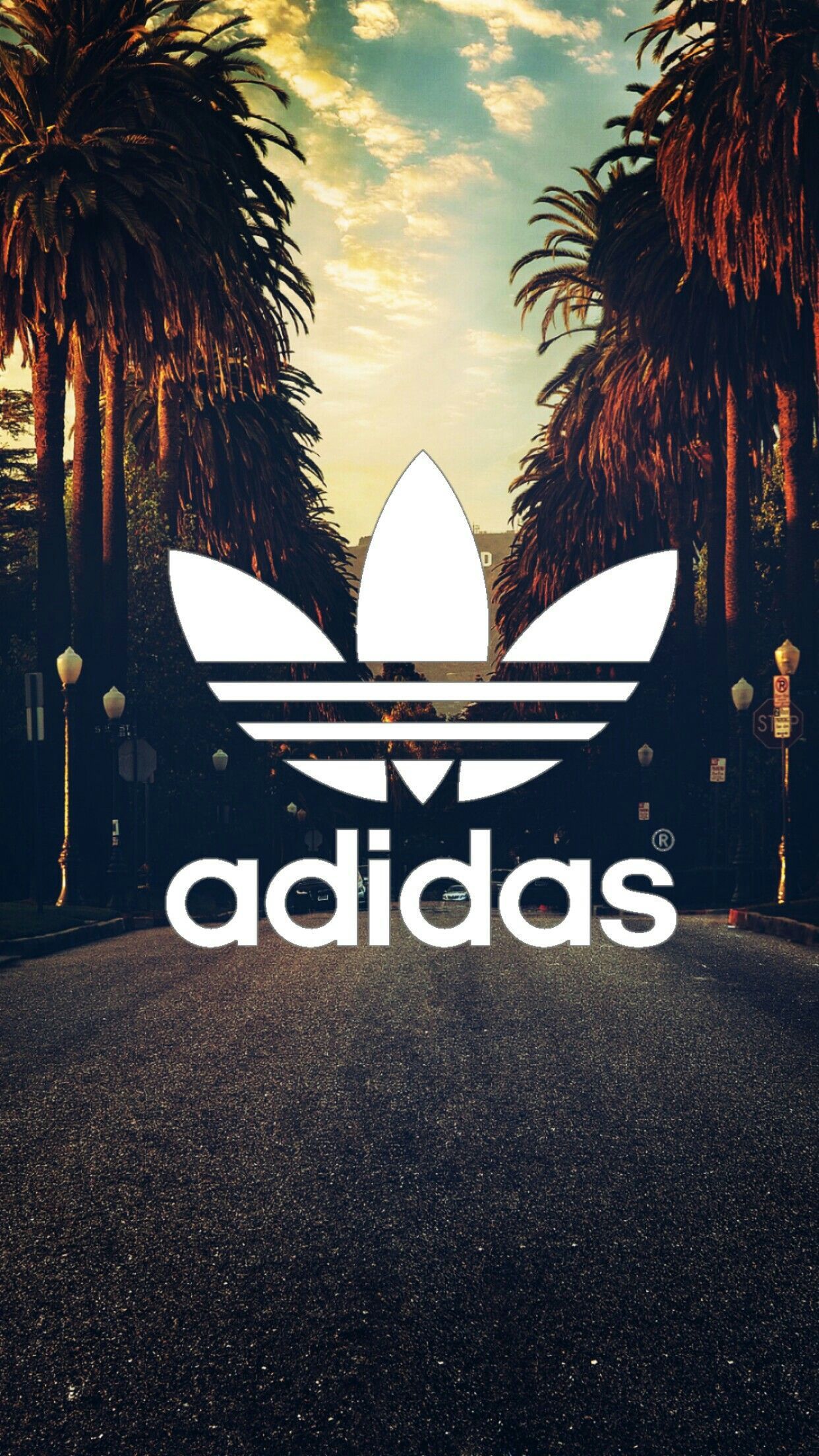 Adidas, Trefoil-Logo, Palmen, Allee, Sonnenuntergang, Straße, 1242x2208, Handy-Hintergrund