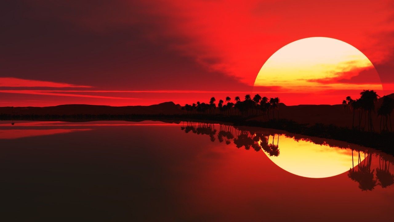 Sonnenuntergang, Roter Himmel, See, Palmen, Silhouette, HD, Hintergrundbild für den PC