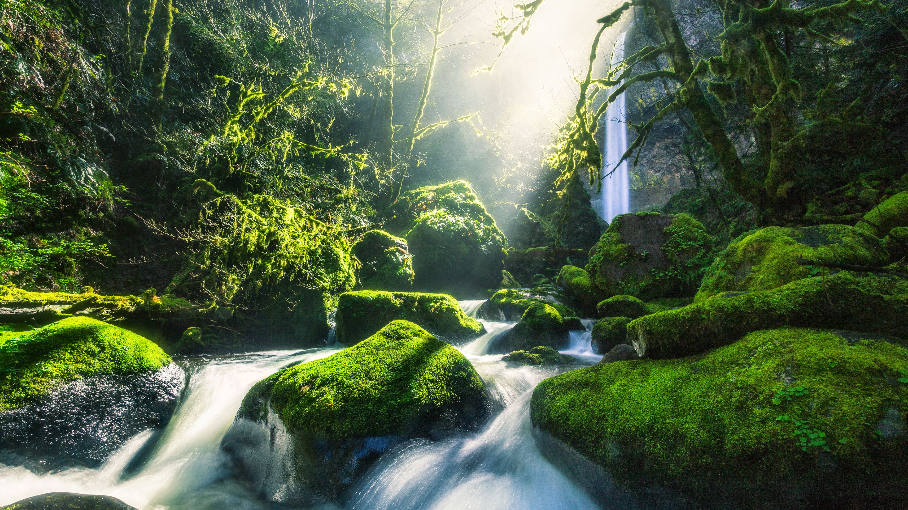 Bachlauf, Moos, Wald, Wasserfall, Sonnenstrahlen, 4K, Desktop-Hintergrund für Windows