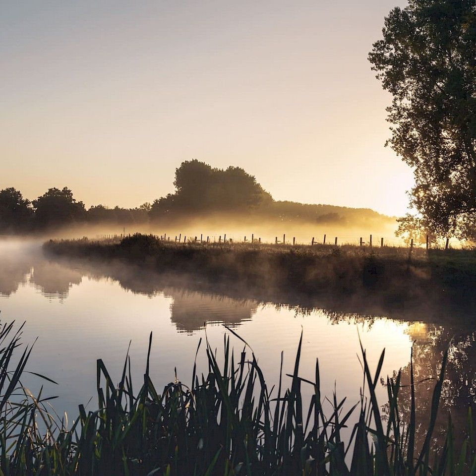 Fluss, Morgennebel, Sonnenaufgang, Schilf, Spiegelung, Hintergrundbild für iPad und Tablet