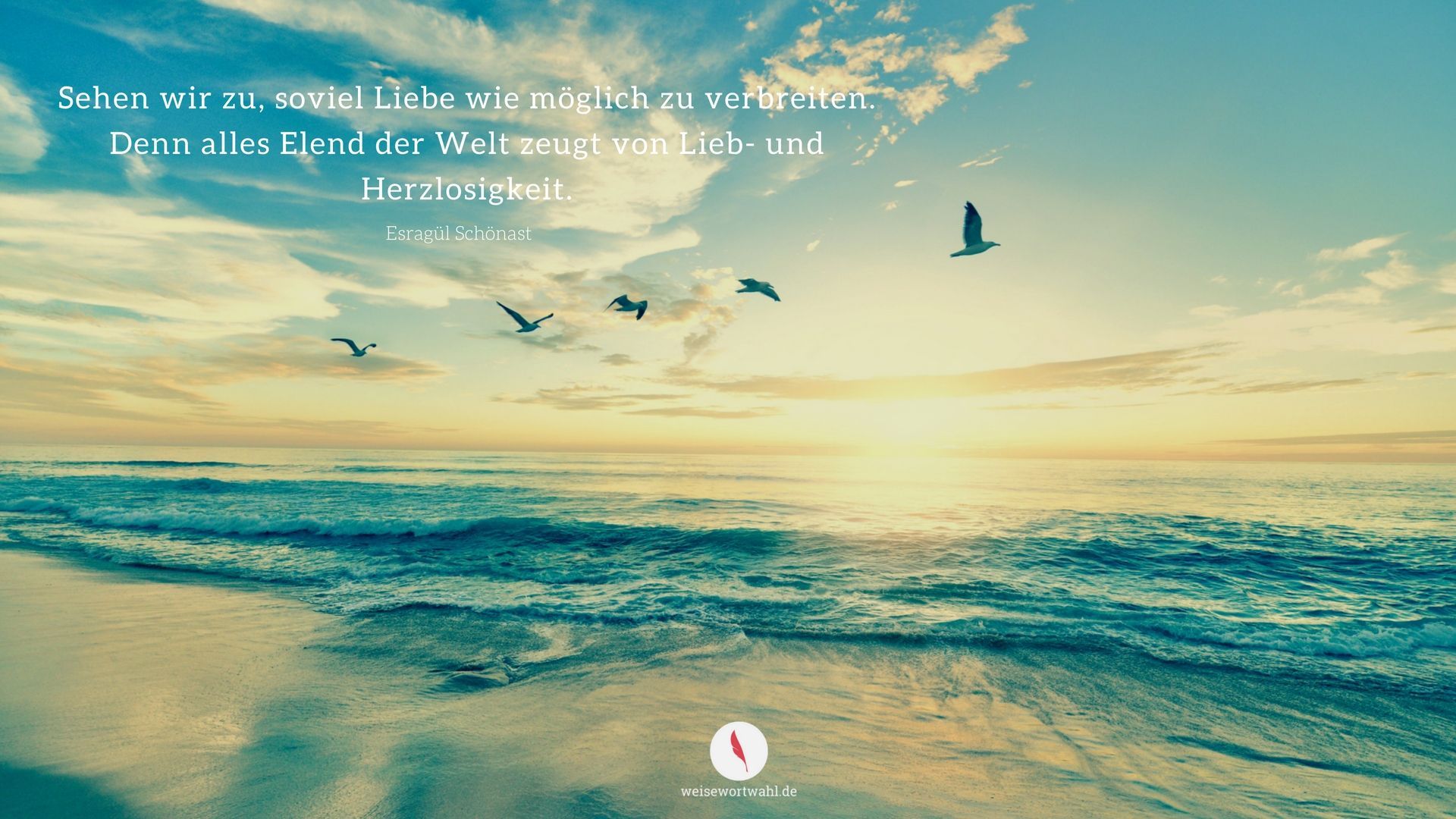 Zitat, Meer, Möwen, Brandung, Türkis, 16:9, Full-HD-Hintergrundbild für den Desktop