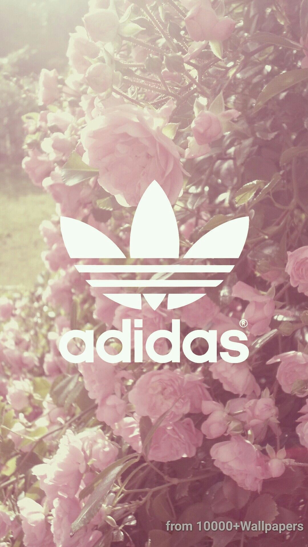 Adidas, Kleeblatt-Logo, Blumen, Hortensien, Pastell, Rosa, Full HD, Handy-Hintergrund