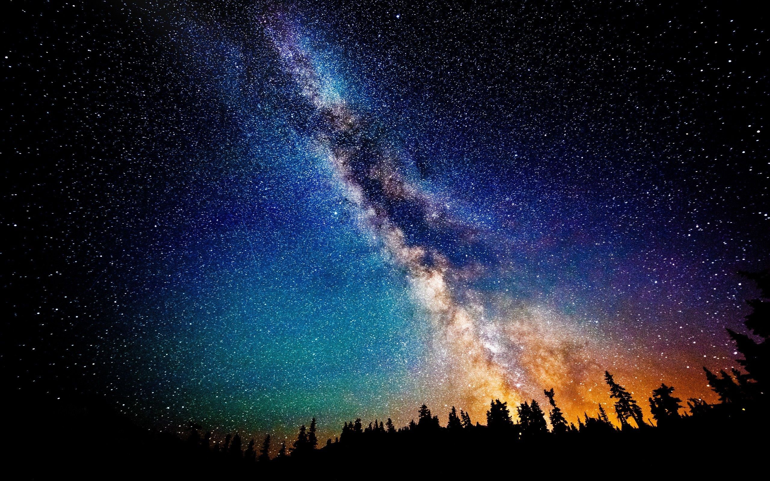 Milchstraße, Sternenhimmel, Nacht, Baumsilhouetten, Astrofotografie, 2K, Desktop-Hintergrund