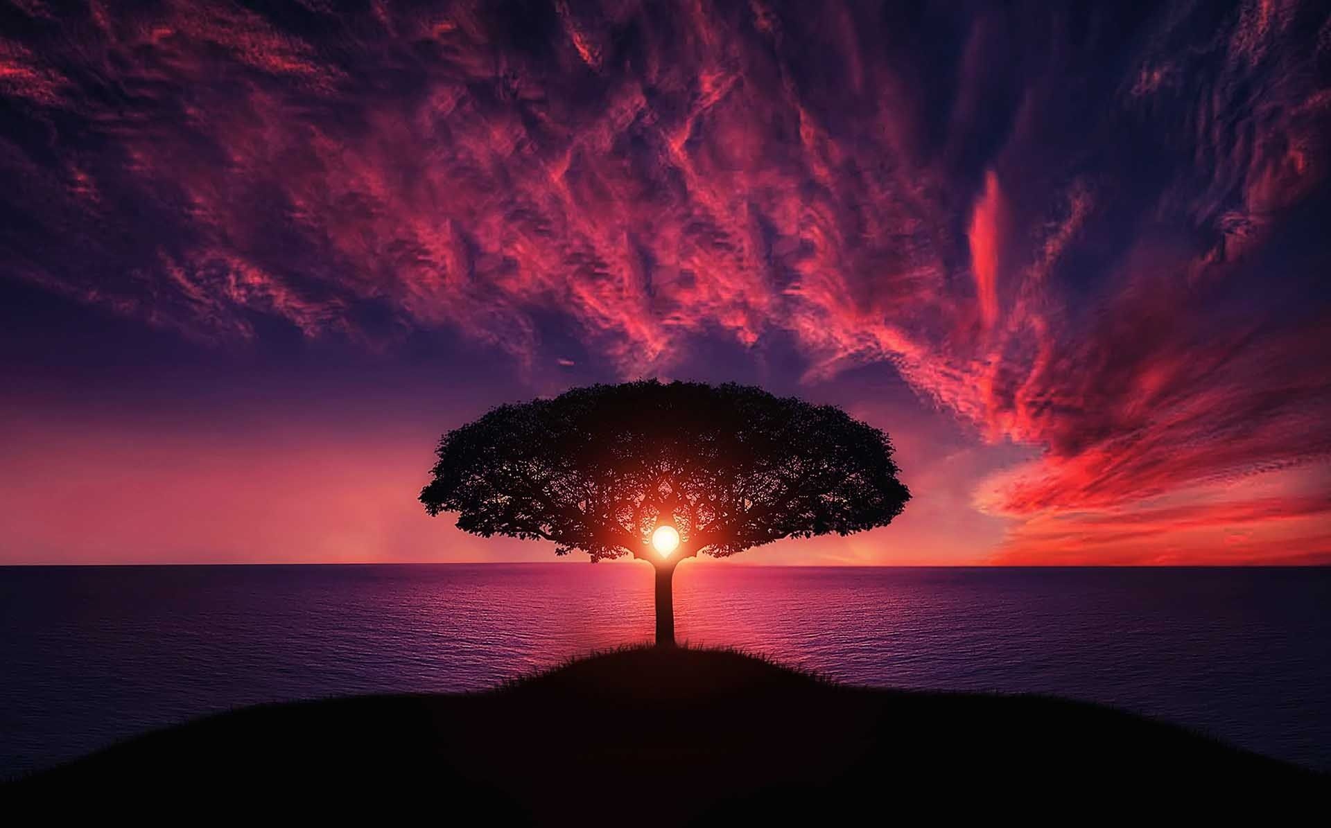 Einsamer Baum, Sonnenuntergang, Rote Wolken, Meer, Silhouette, Full HD, PC-Hintergrundbild