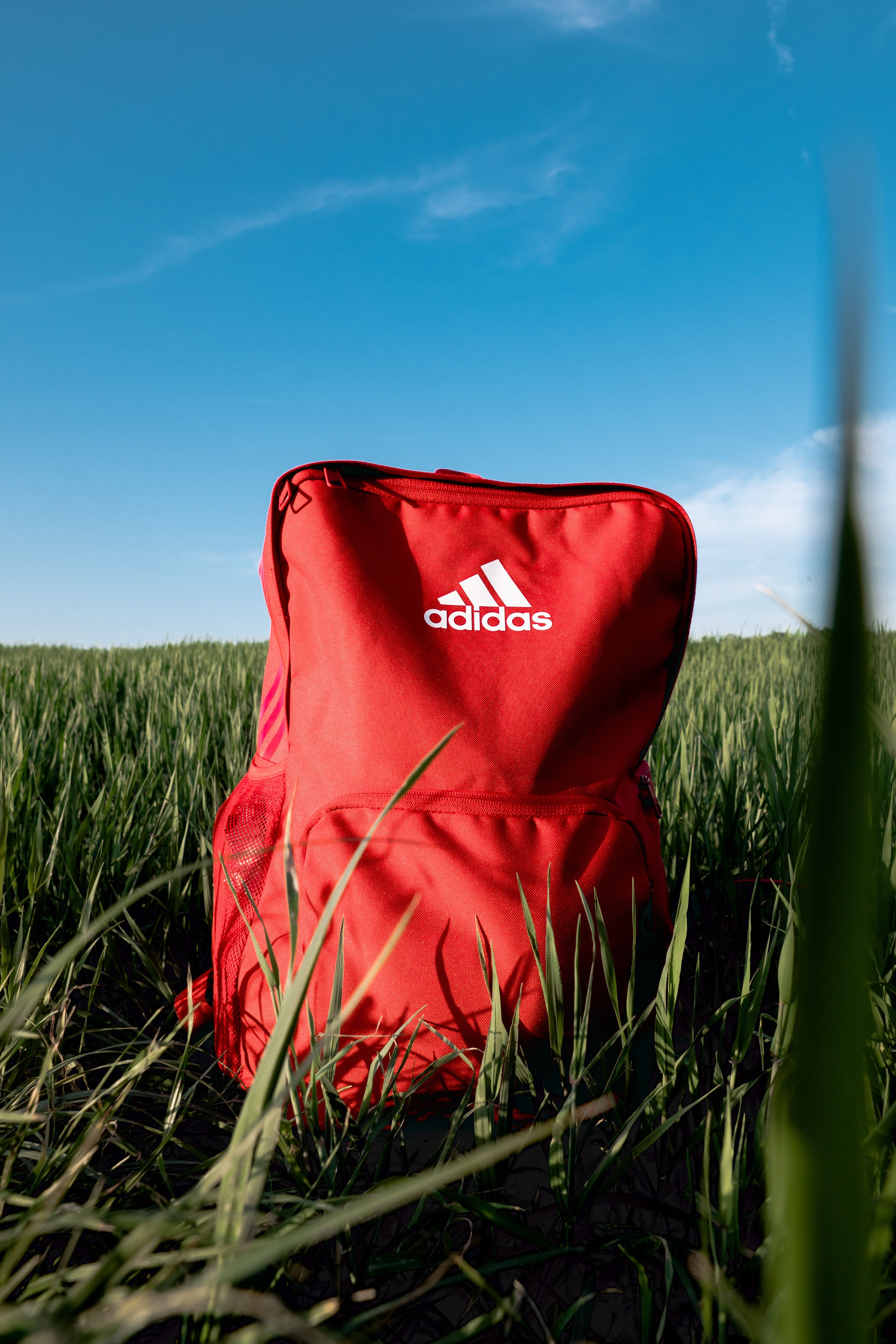 Adidas, Roter Rucksack, Wiese, Blauer Himmel, Gras, QHD+, Handy-Hintergrund im Hochformat