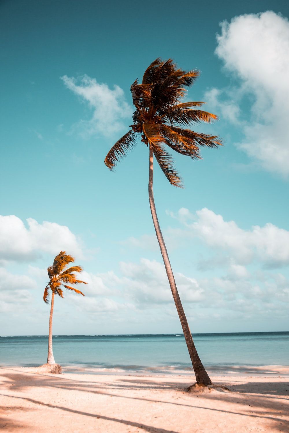Palmen, Strand, Blauer Himmel, Wolken, Tropisch, HD, Hintergrundbild fürs Handy