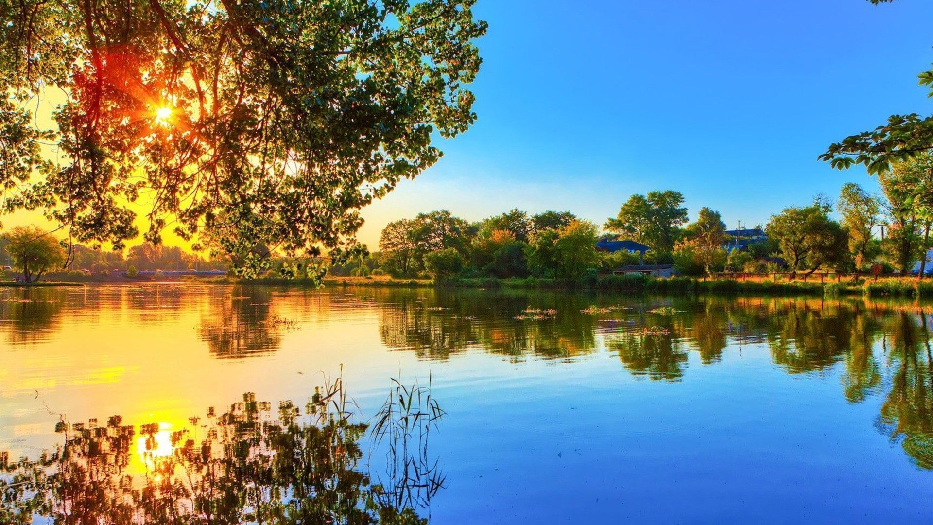 See, Bäume, Sonnenstrahlen, Spiegelung, Sommer, 1920x1080, Full-HD-Hintergrundbild für PC