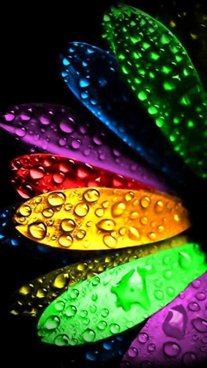 Blütenblätter, Wassertropfen, Regenbogenfarben, Schwarzer Hintergrund, Makro, Sperrbildschirm