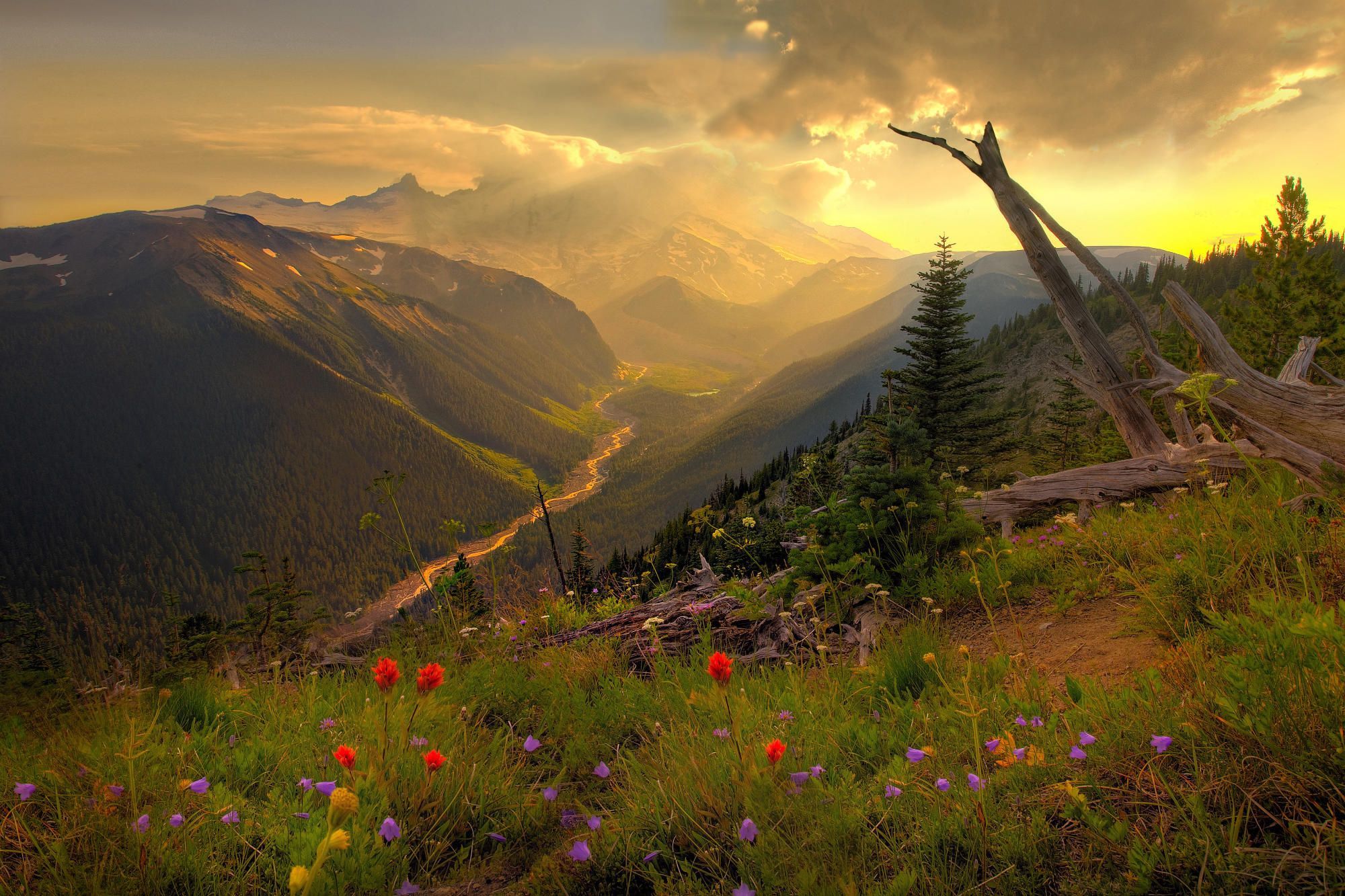 Gebirgstal, Sonnenuntergang, Bergwiese, Wildblumen, Goldenes Licht, Full HD, Desktop-Hintergrund