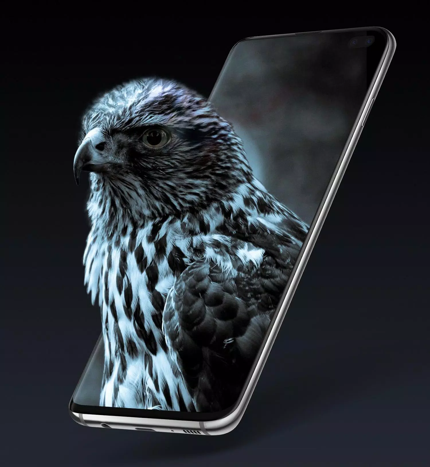 Falke, Smartphone, 3D-Illusion, Schwarz-Weiß, Grauer Hintergrund, HD Wallpaper